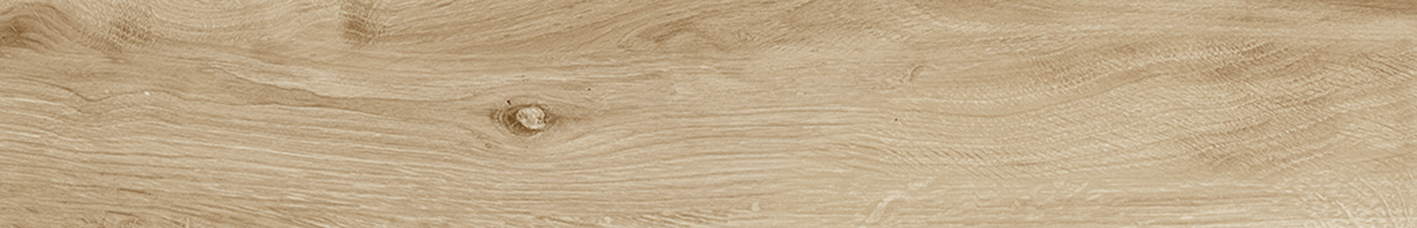 ASCOT TECA ANT. 19,3X120(A) ASCOT TECA ANT. 19,3X120(A)