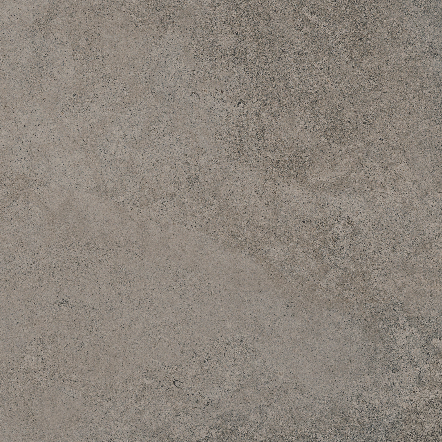 BERNA TOPO L 120X120(A)