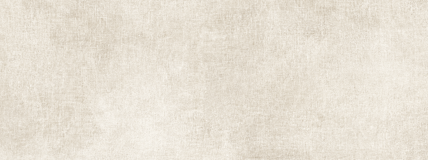 GASA BONE 45X120(A) GASA BONE 45X120(A)