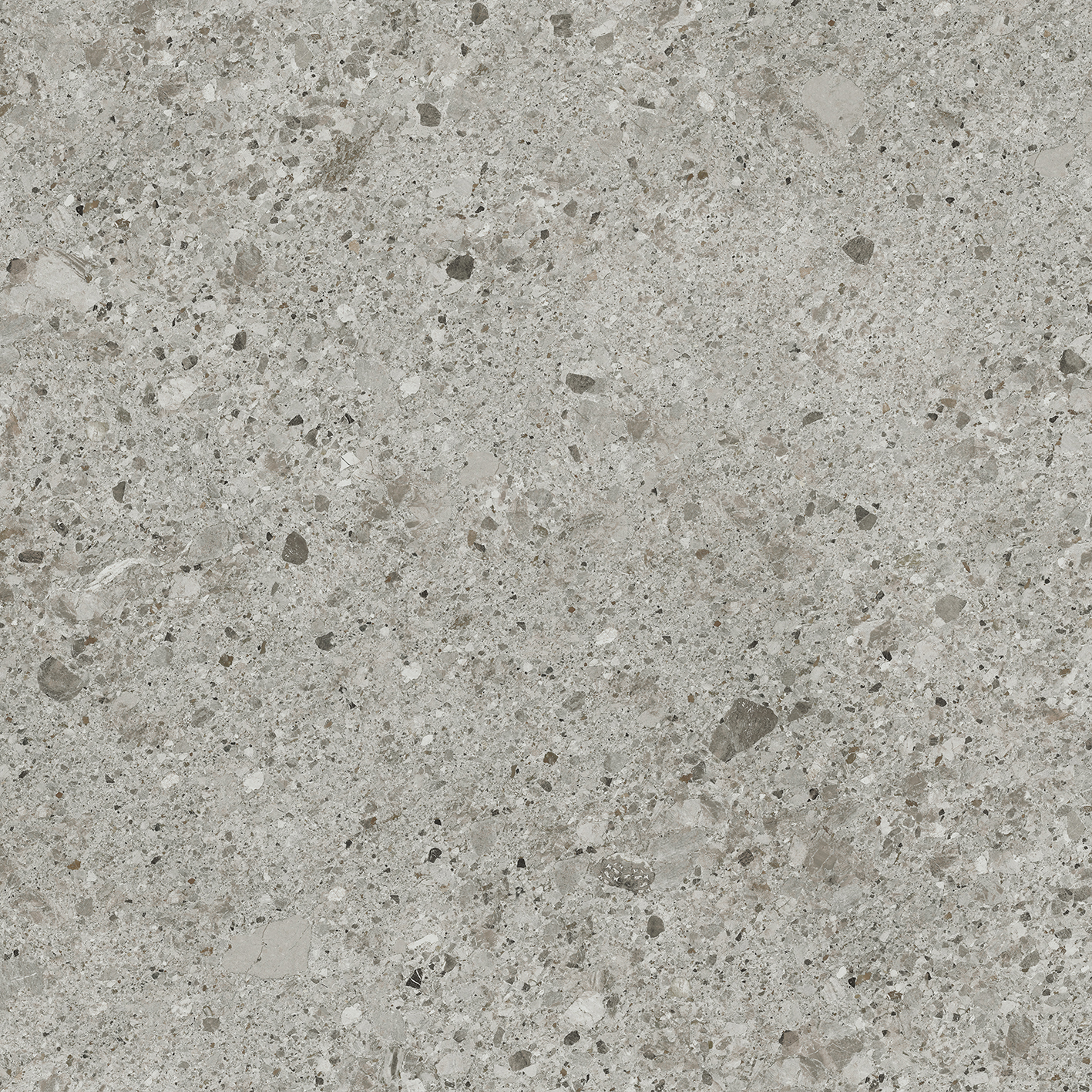 TRENTO GREY 120X120(A) TRENTO GREY 120X120(A)