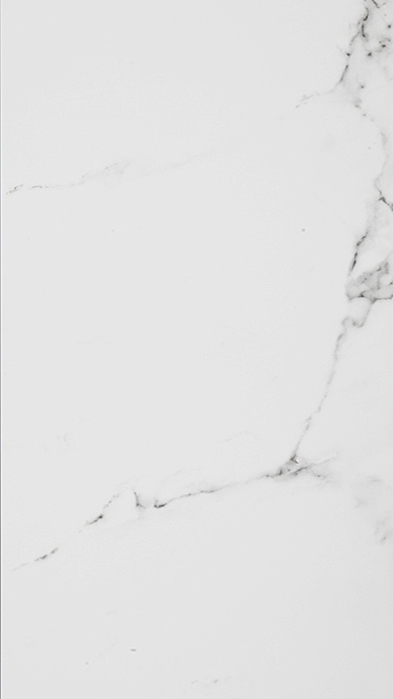 MARMOL CARRARA BLANCO L 33,3X59,2(A)