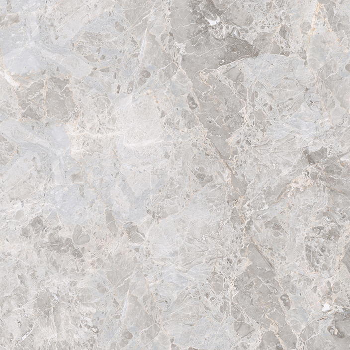ELEGANT BONE L 59,6X59,6(A) ELEGANT BONE L 59,6X59,6(A)