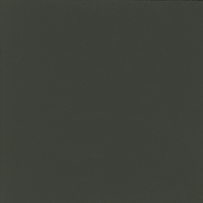 16850  015015