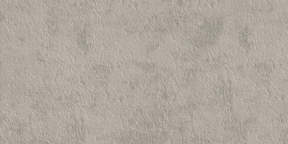 206  RL030060