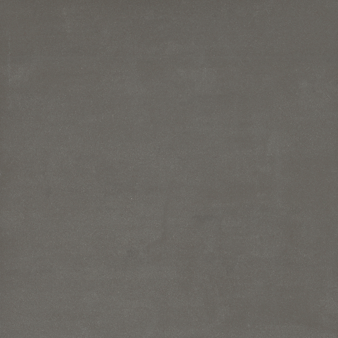 223  V 060060