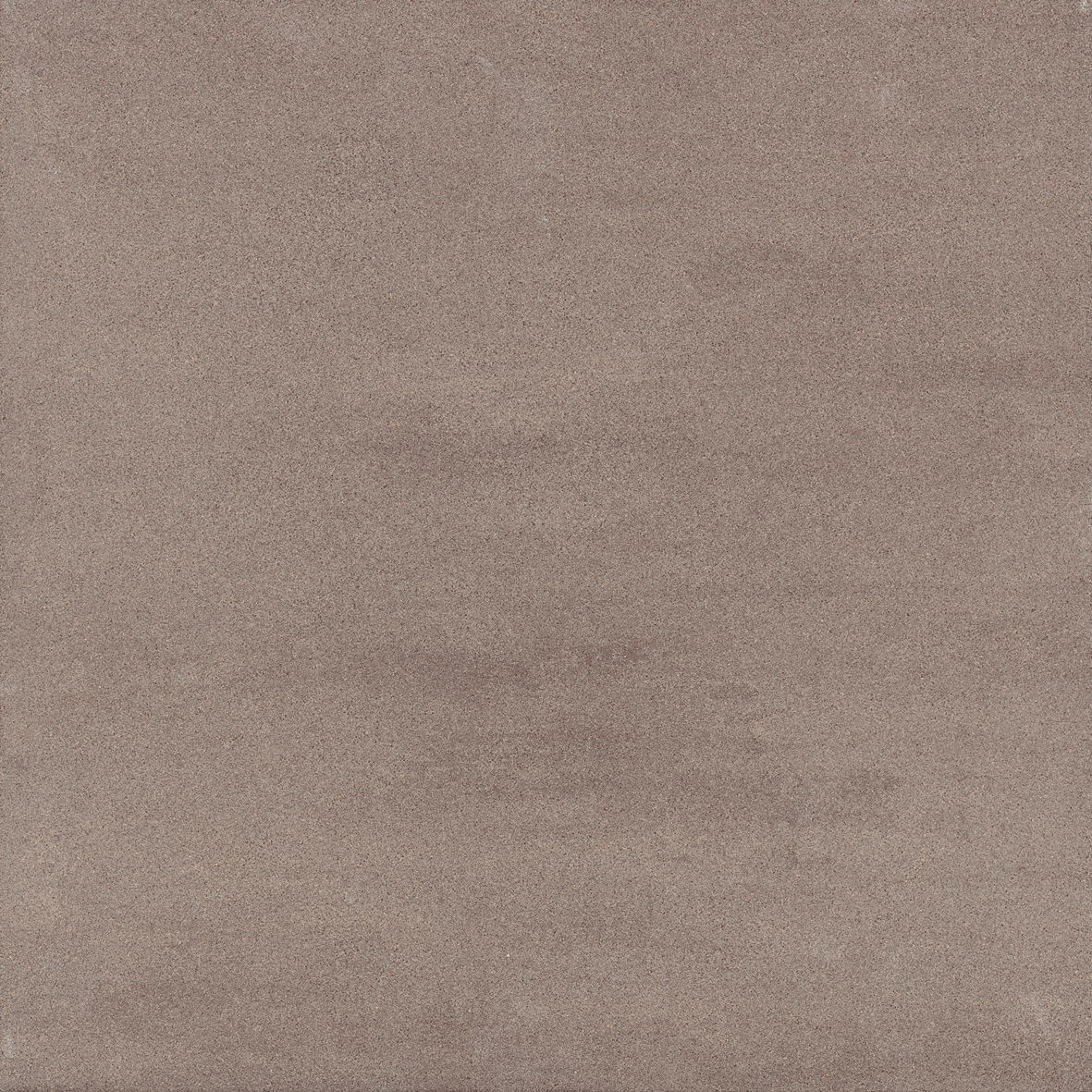 264  V 060060