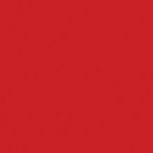 CONCEPT ROOD GLIMMEND 20X40 CONCEPT ROOD GLIMMEND 20X40