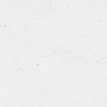images/productimages/small/100306275_ImgTec.jpg