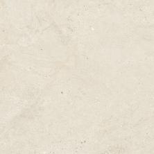 images/productimages/small/100315913_ImgTec.jpg
