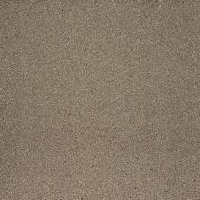 images/productimages/small/75450V_015015.jpg