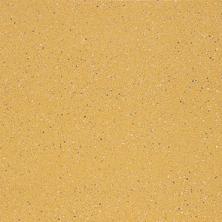 images/productimages/small/75460V_015015.jpg