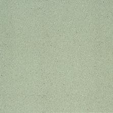 images/productimages/small/75510V_015015.jpg