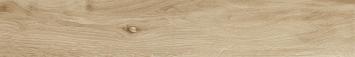ASCOT TECA ANT. 19,3X120(A) ASCOT TECA ANT. 19,3X120(A)