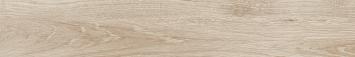 ASCOT ARCE 19,3X120(A) ASCOT ARCE 19,3X120(A)
