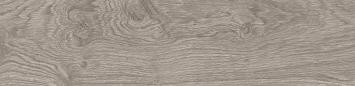 OXFORD ACERO 29,4X120(A) OXFORD ACERO 29,4X120(A)