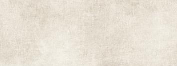 GASA BONE 45X120(A) GASA BONE 45X120(A)