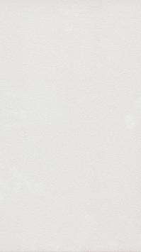 KINGSTON NACAR L 33,3X59,2(A) KINGSTON NACAR L 33,3X59,2(A)