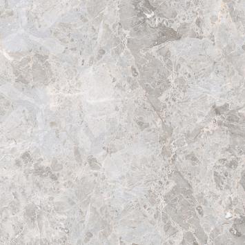 ELEGANT BONE L 59,6X59,6(A) ELEGANT BONE L 59,6X59,6(A)