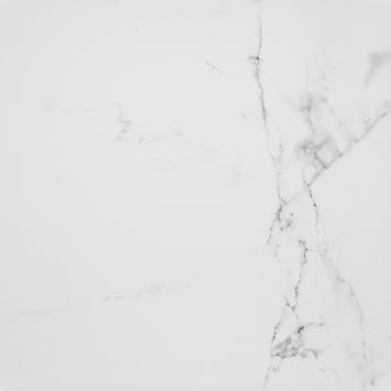 CARRARA BLANCO BRILLO L 59,6X59,6(A)