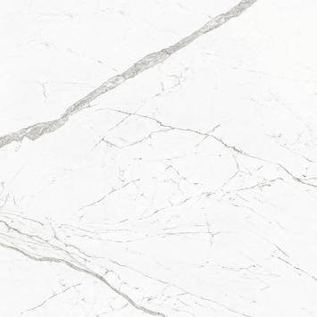 BALTIC BRILLO L 59,6X59,6(A) BALTIC BRILLO L 59,6X59,6(A)