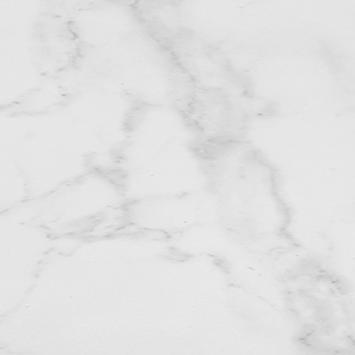 CARRARA BLANCO BRILLO L 44,3X44,3(A)