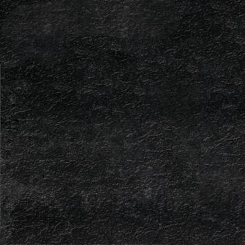 203  RL060060