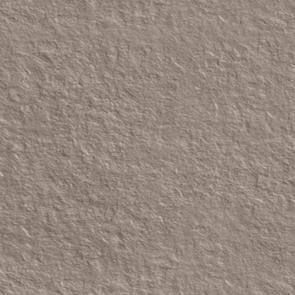 204  RL015015