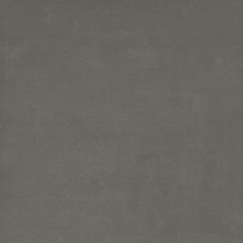 223  V 060060